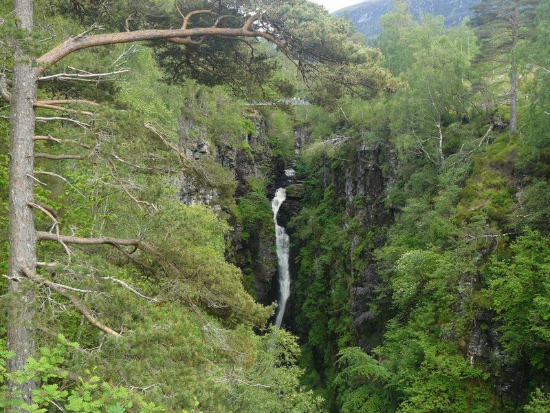 Waterfall in a forested gorge