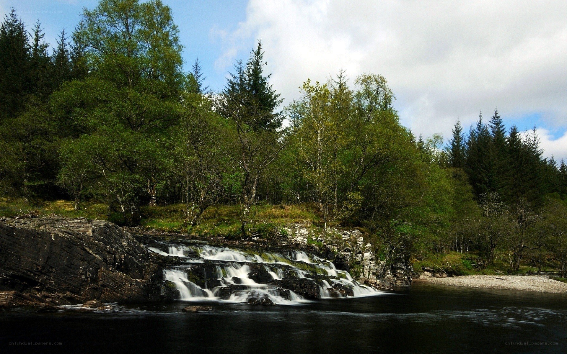 Waterfall in a forested landscape