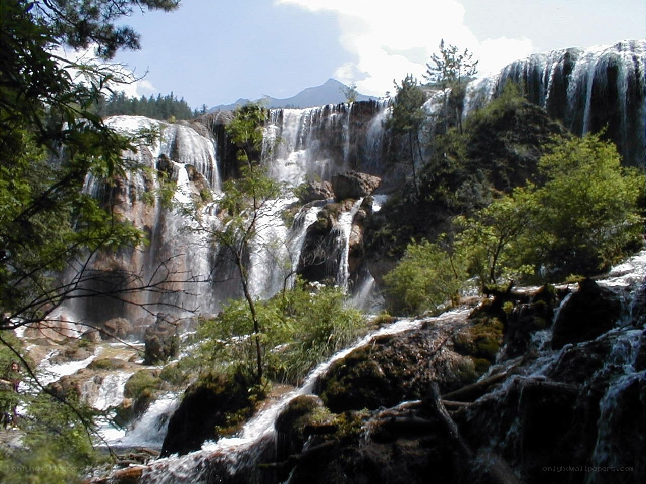 Waterfall in a forested mountain area