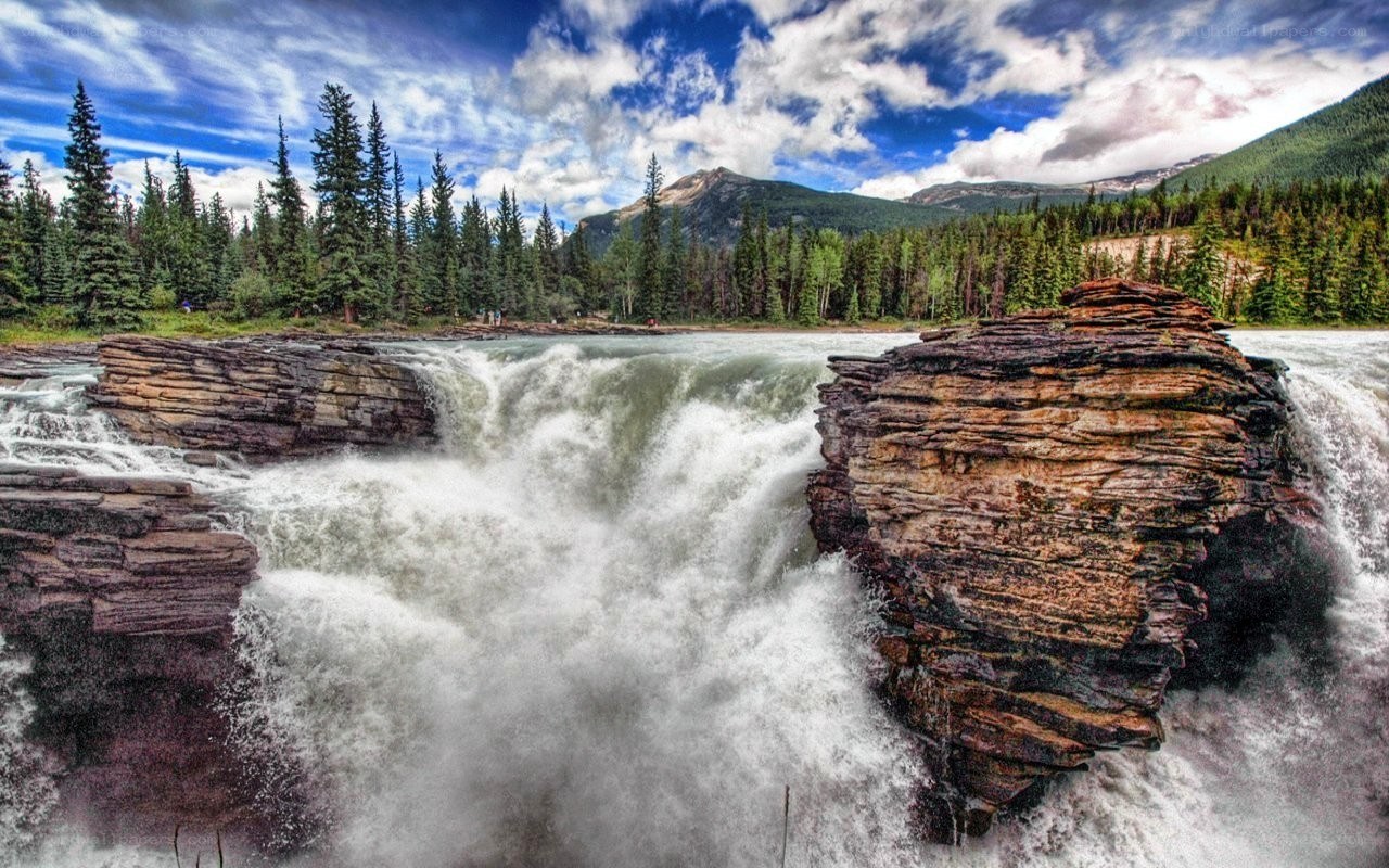 Waterfall in a forested mountain landscape