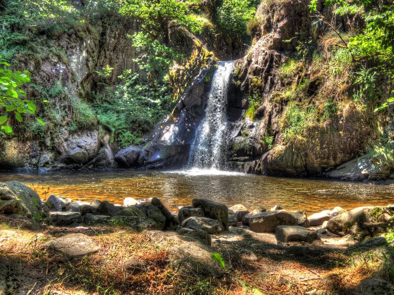 Waterfall in a forested ravine