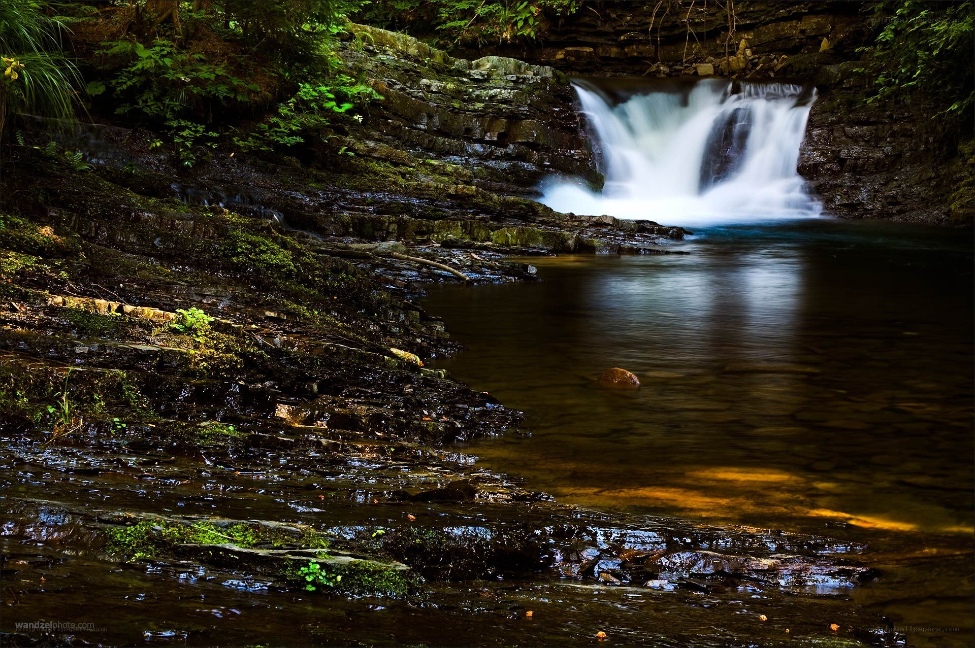 Waterfall in a forested ravine