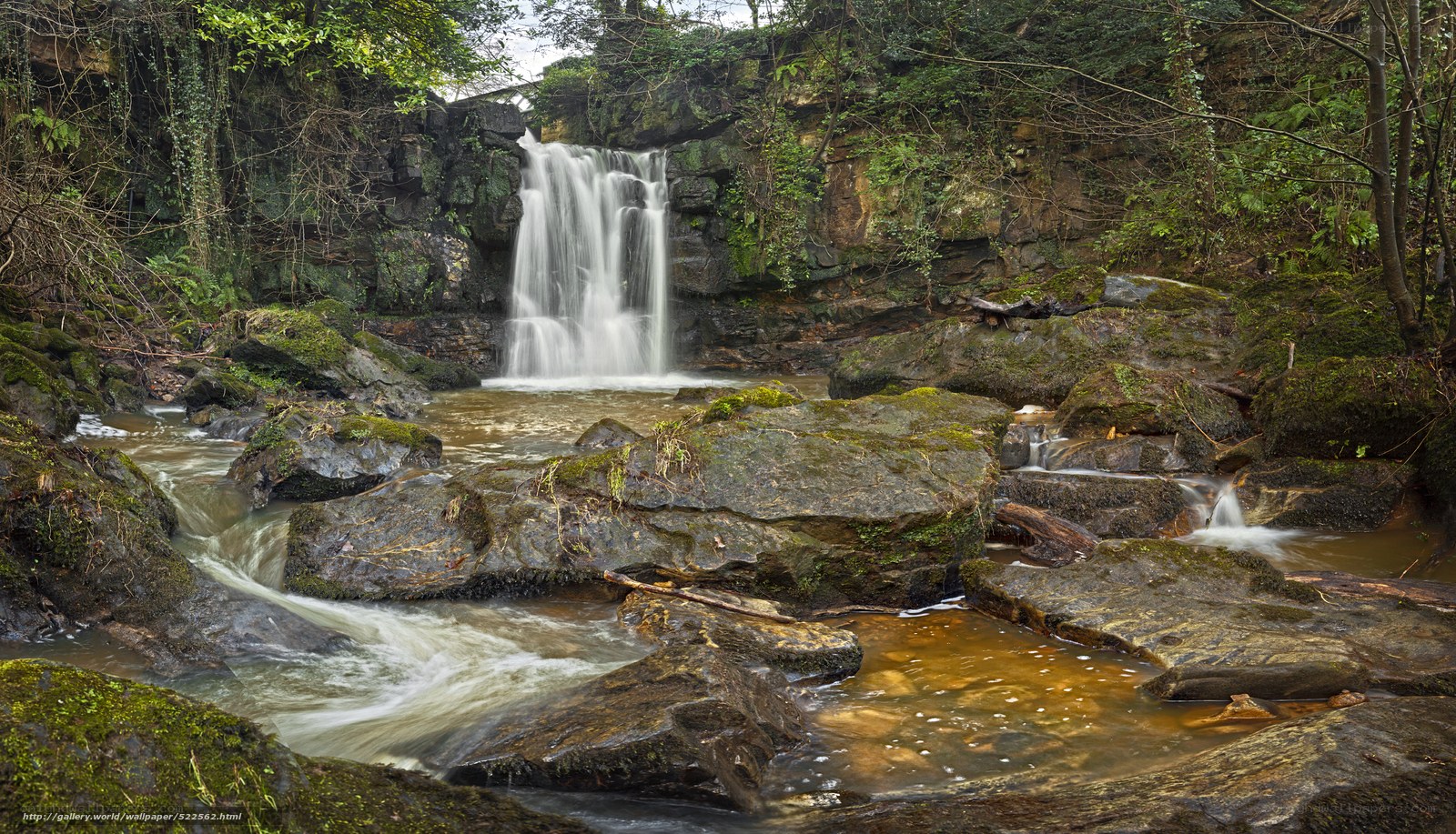 Waterfall in a forested ravine