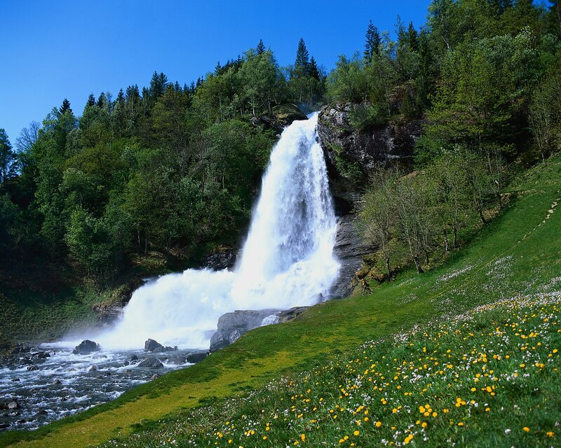 Waterfall in a forested valley