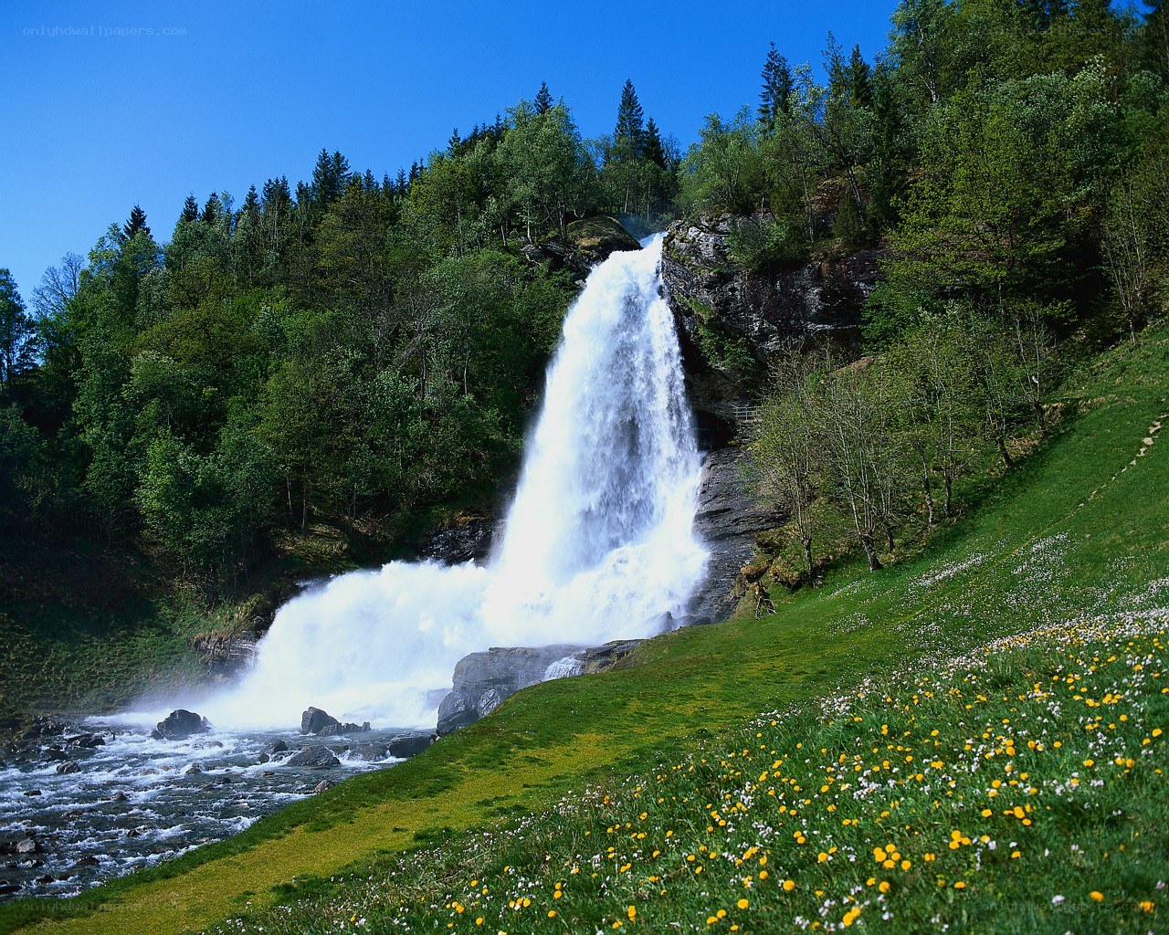 Waterfall in a forested valley