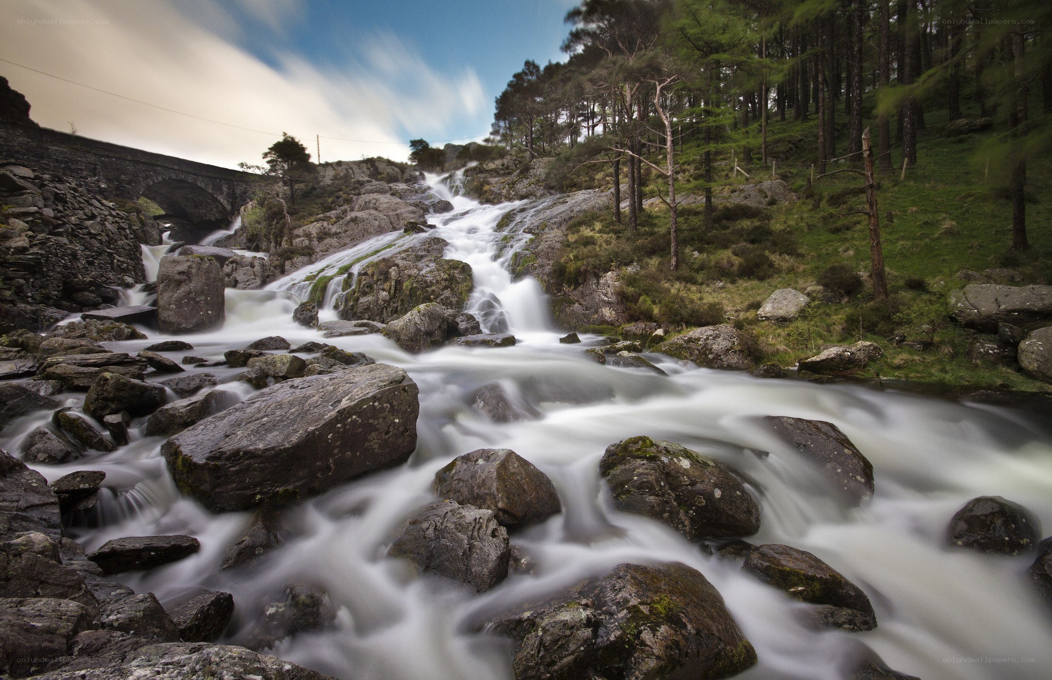 Waterfall in a forested valley