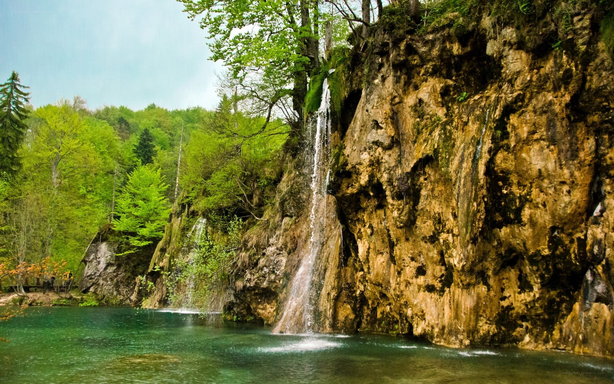 Waterfall in a forested valley