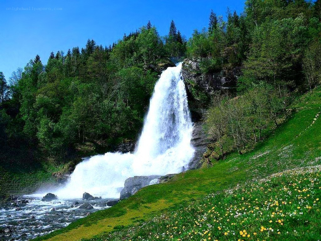 Waterfall in a forested valley