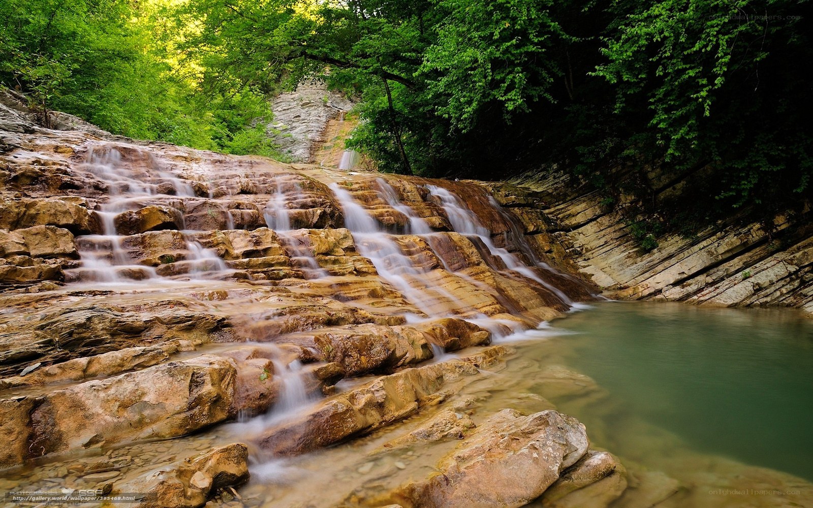 Waterfall in a forested valley