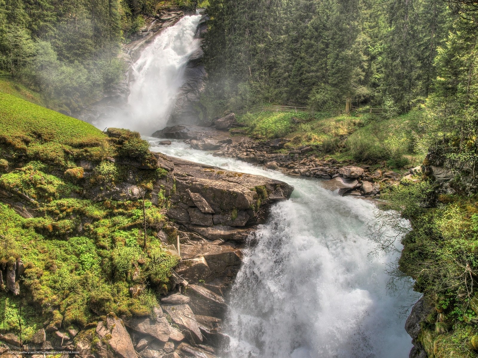 Waterfall in a forested valley