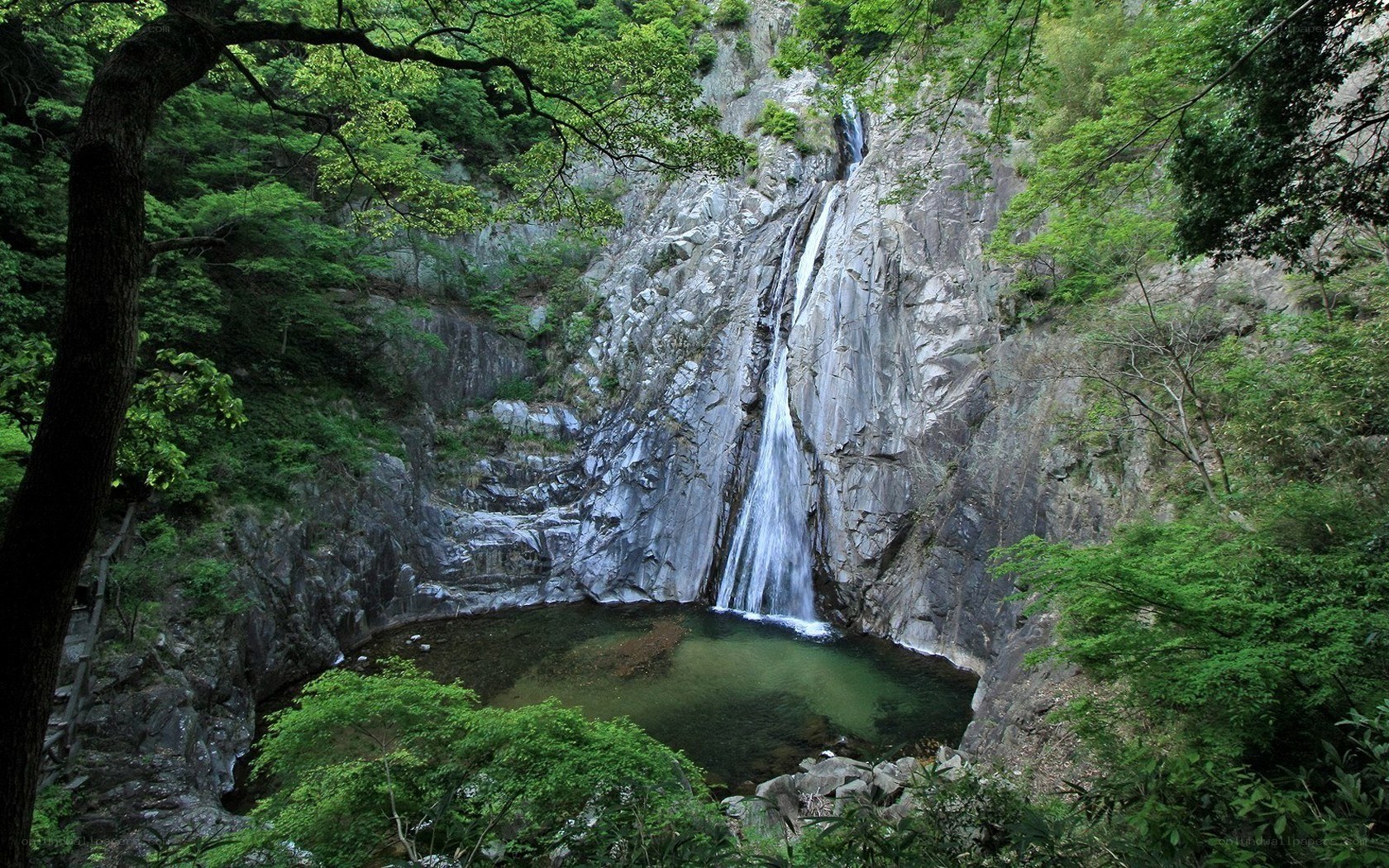 Waterfall in a forested valley