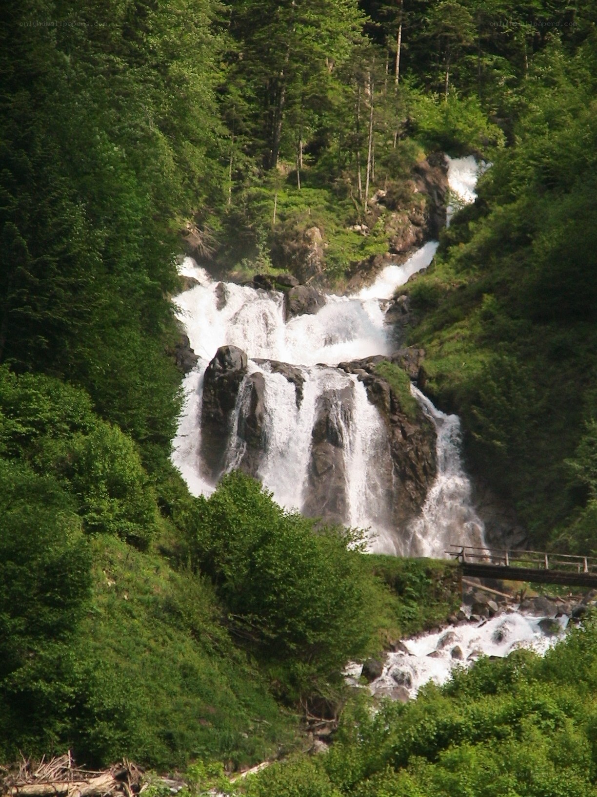 Waterfall in a forested valley