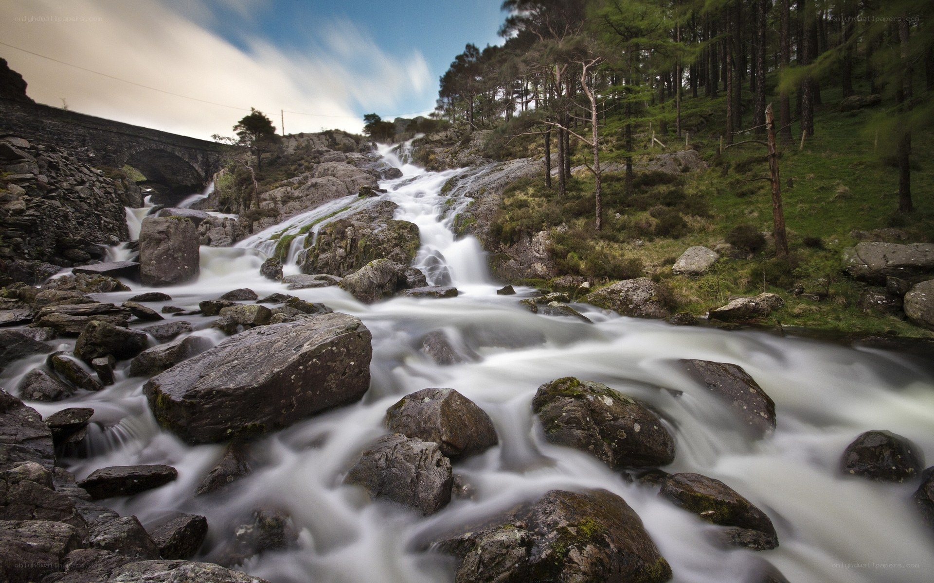 Waterfall in a forested valley