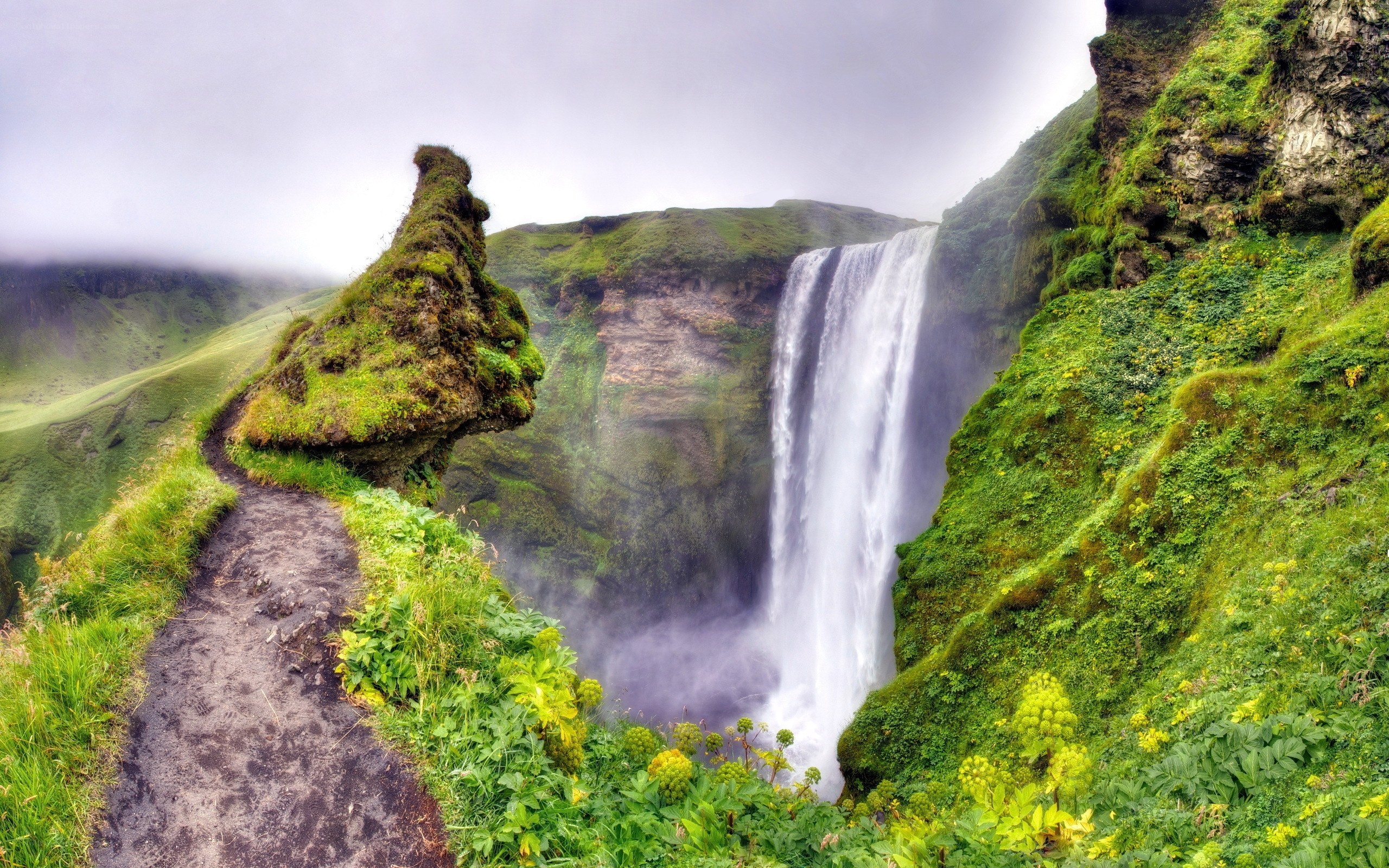 Waterfall in a green canyon