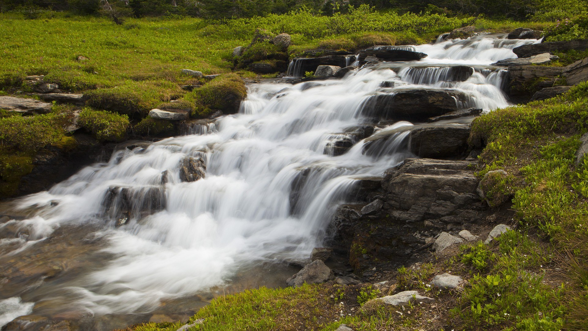 Waterfall in a green valley