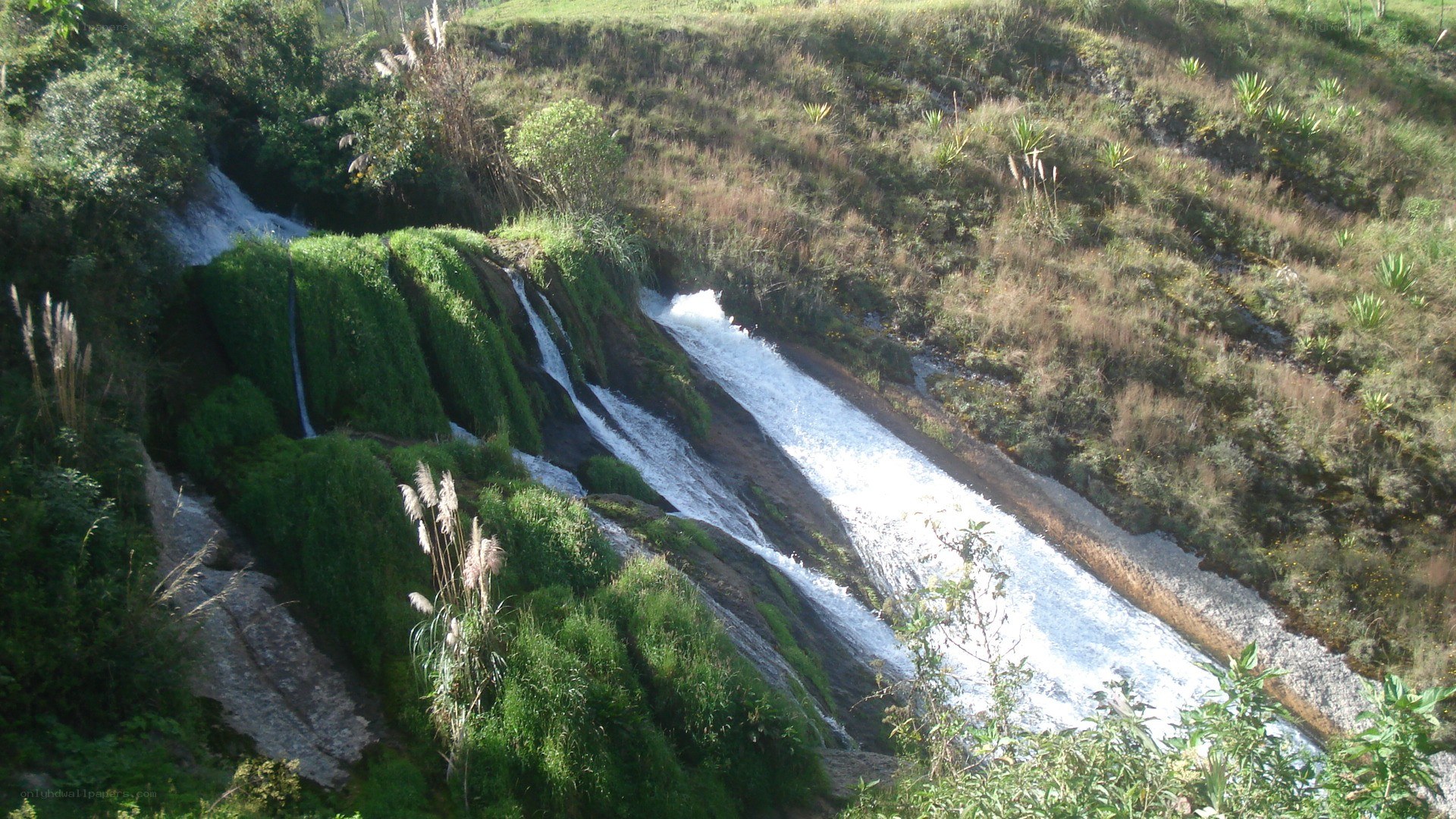 Waterfall in a green valley