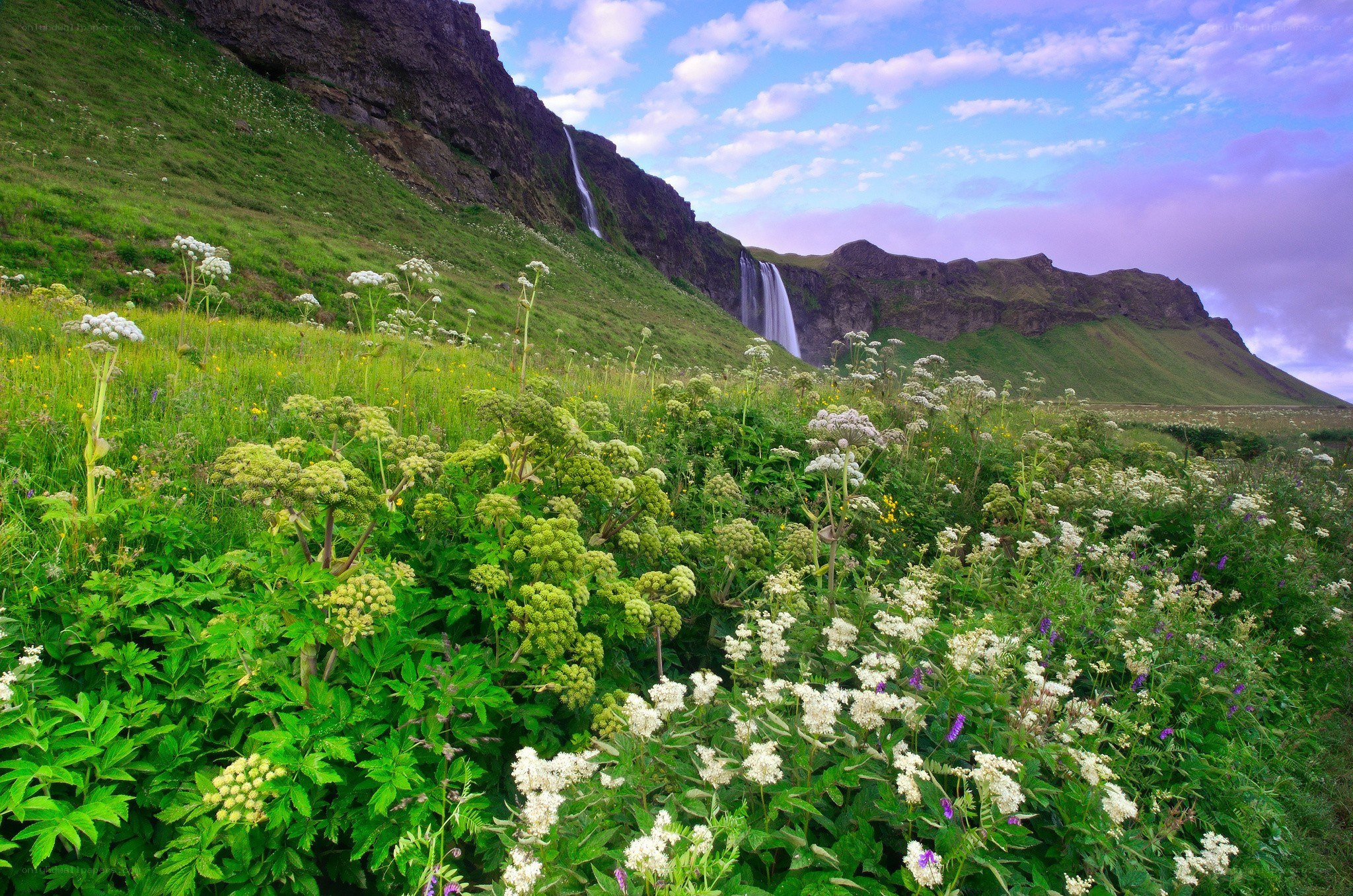 Waterfall in a green valley