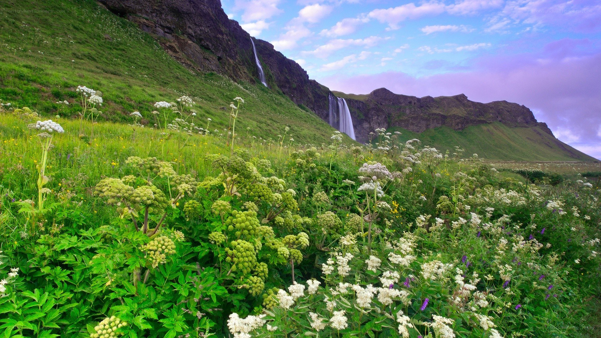 Waterfall in a green valley