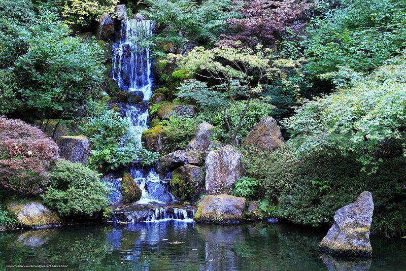 Waterfall in a Japanese garden
