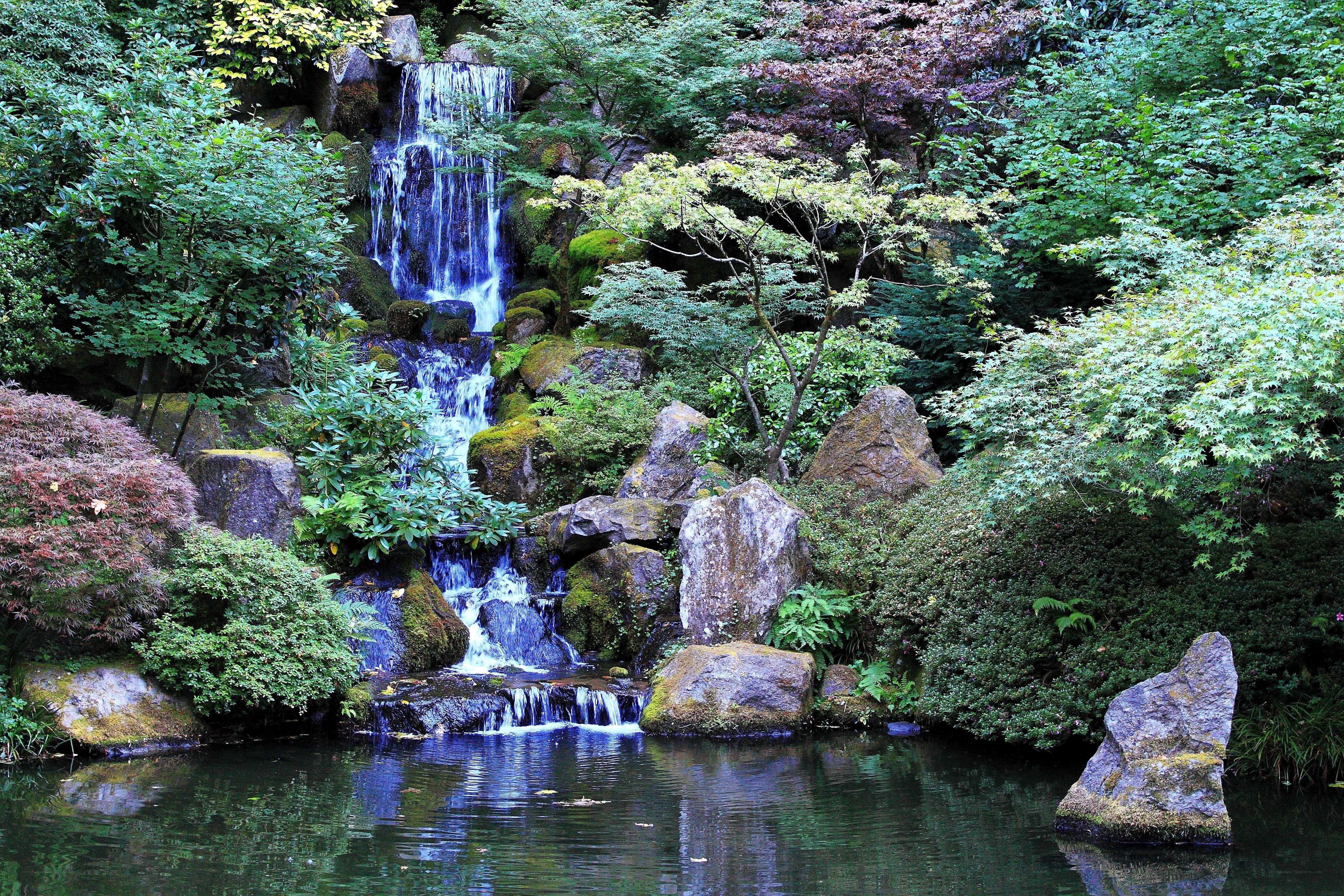 Waterfall in a Japanese garden