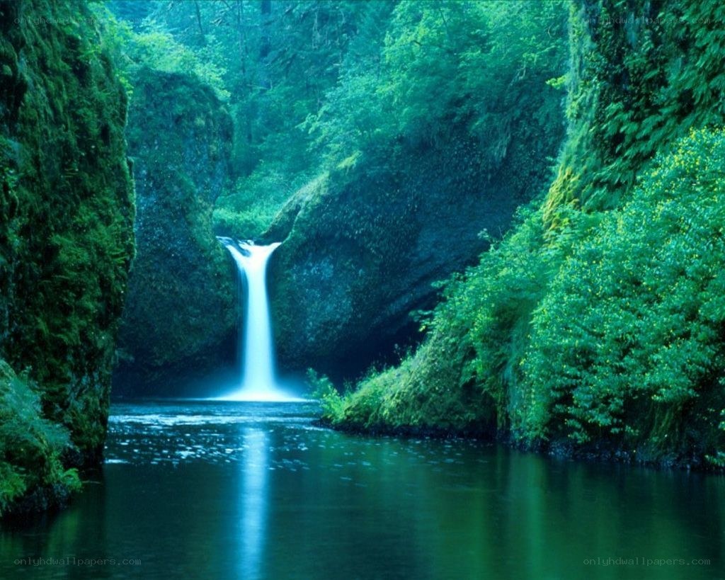 Waterfall in a lush canyon