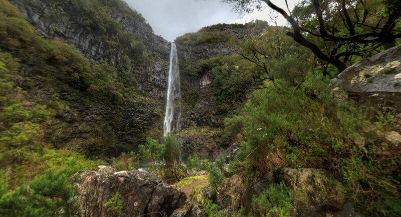 Waterfall in a lush canyon