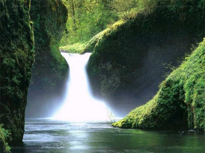 Waterfall in a lush canyon