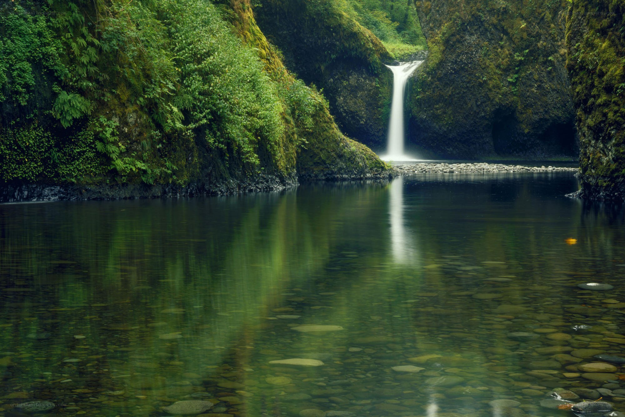 Waterfall in a lush canyon