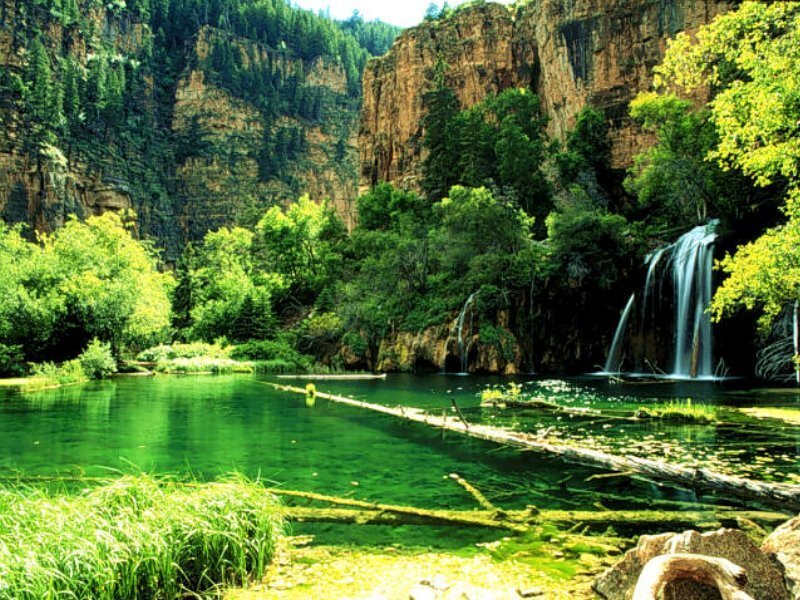 Waterfall in a lush canyon