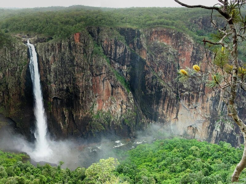 Waterfall in a lush canyon