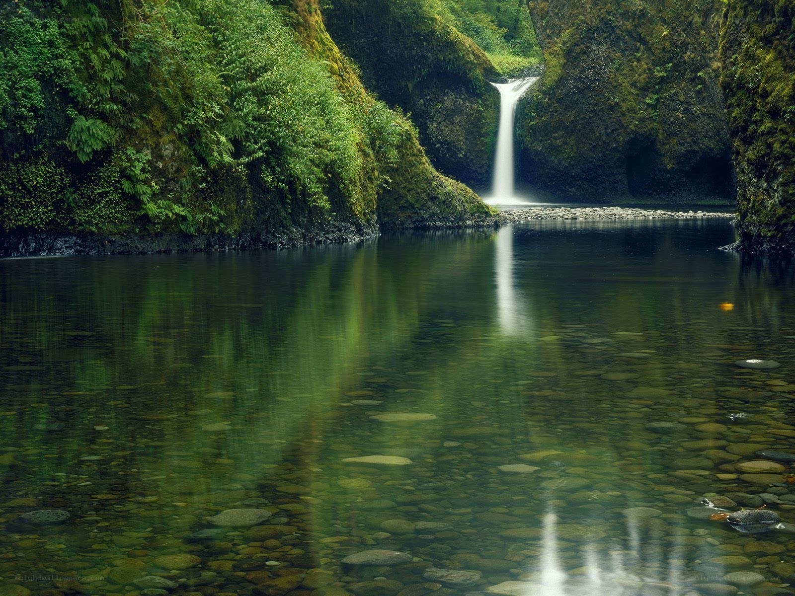 Waterfall in a lush canyon