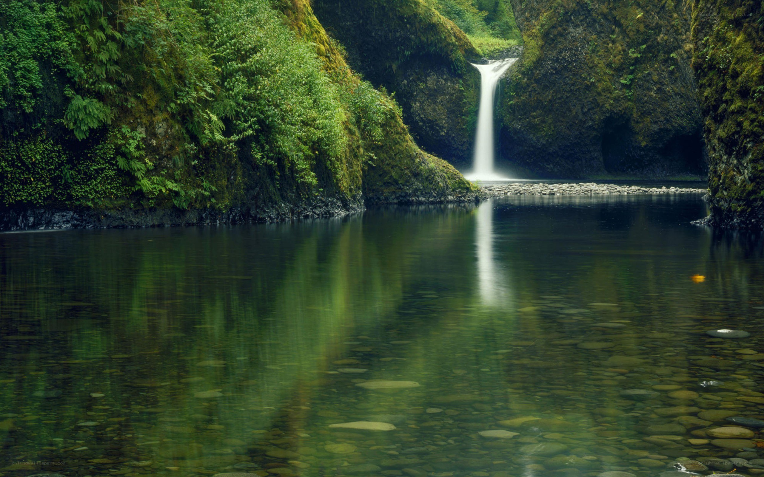 Waterfall in a lush canyon