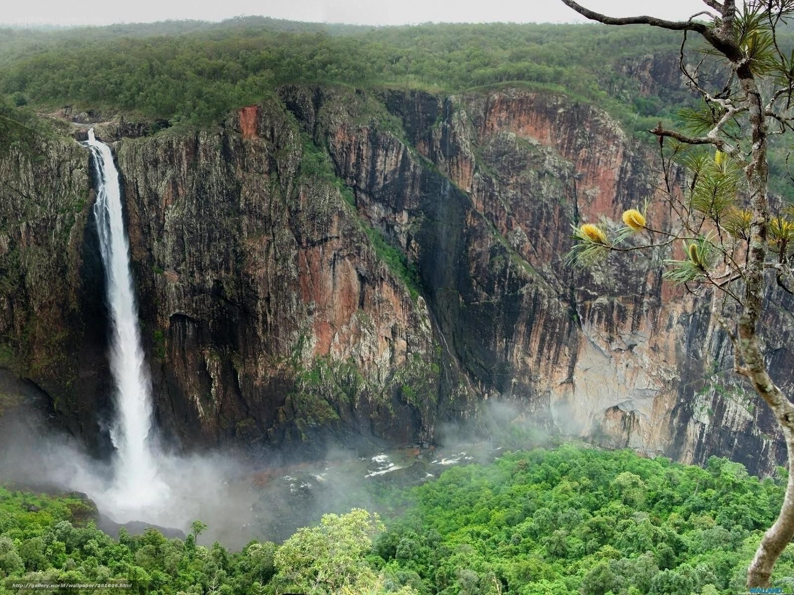 Waterfall in a lush canyon