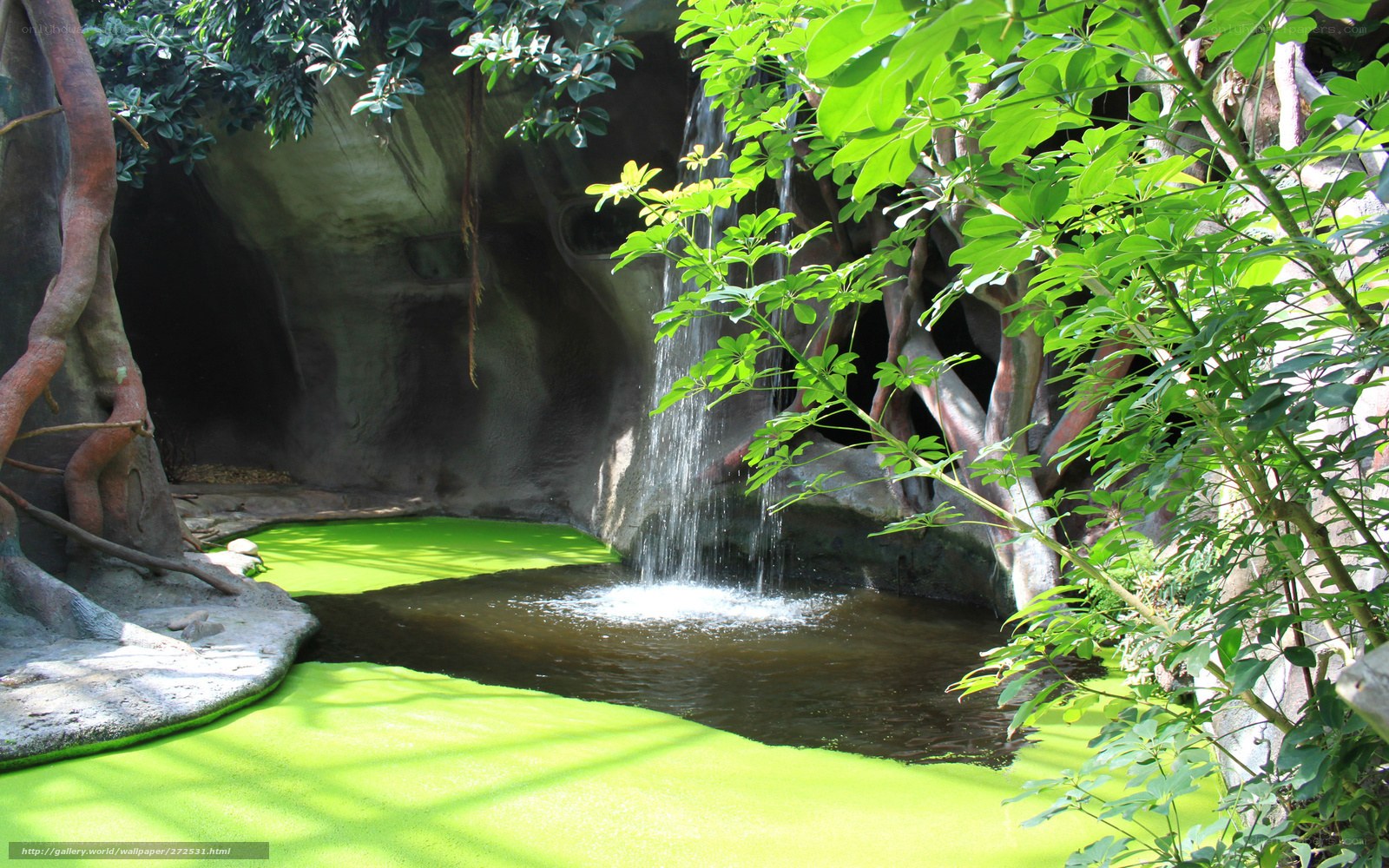 Waterfall in a lush enclosure