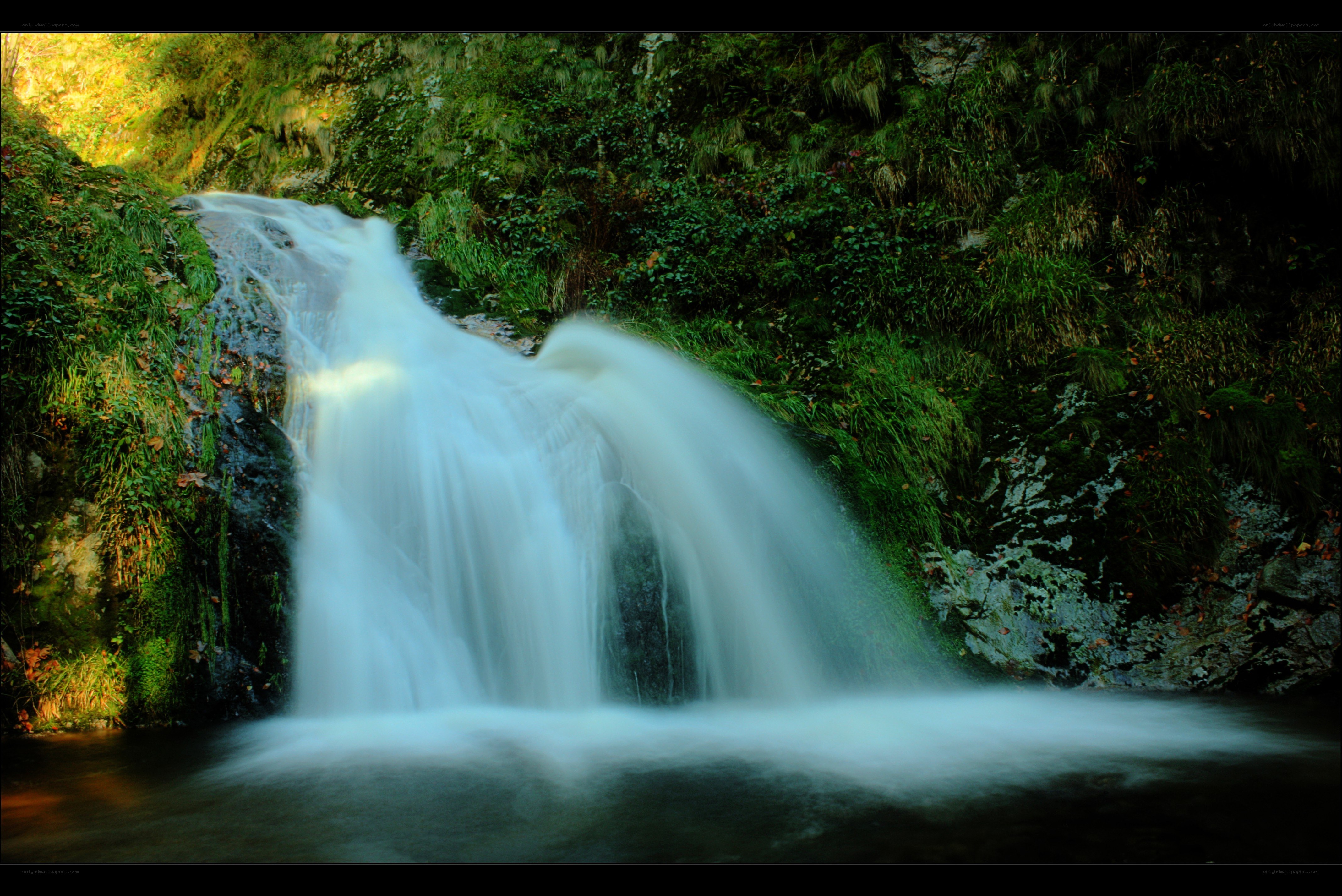 Waterfall in a lush forest