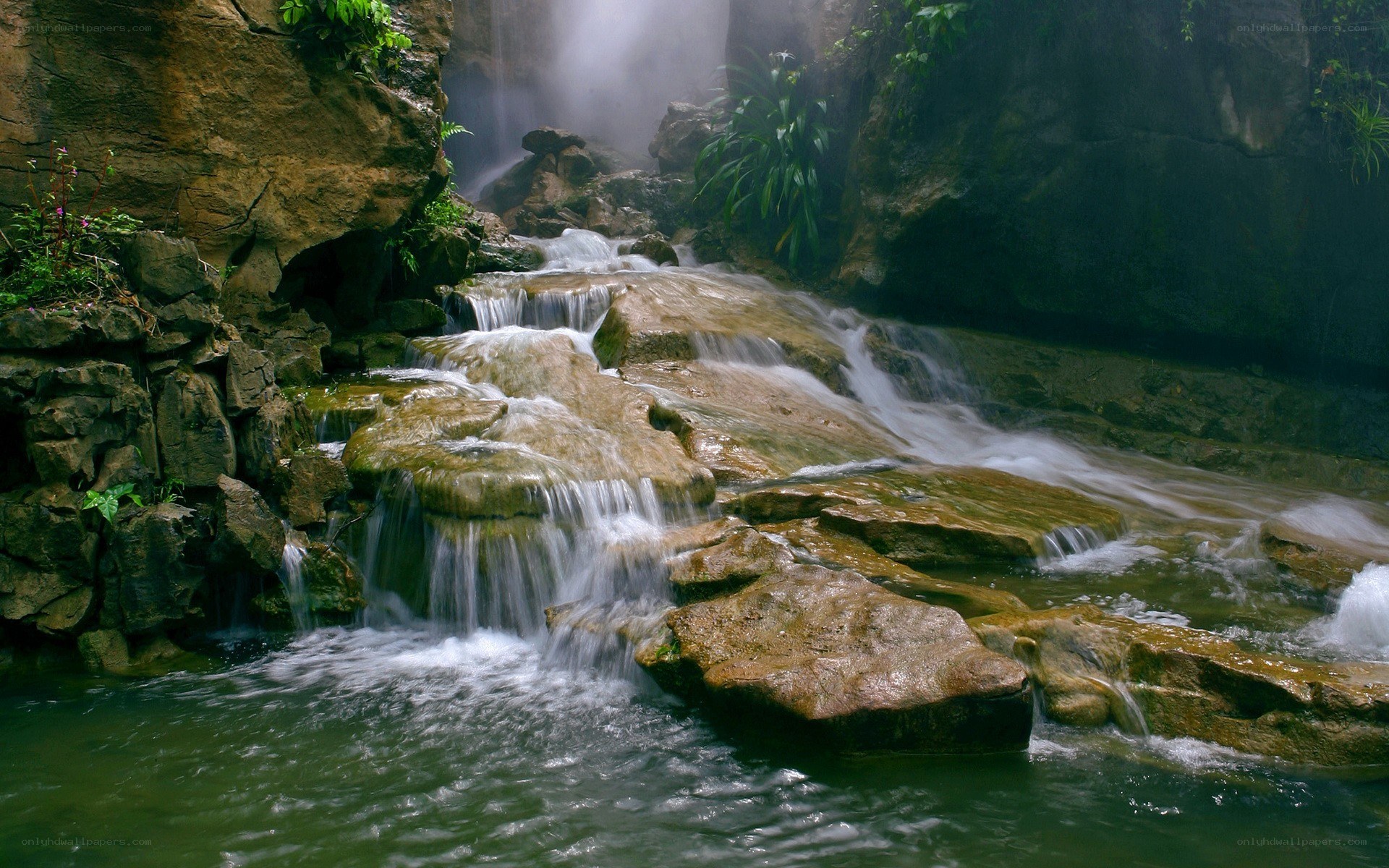 Waterfall in a lush forest