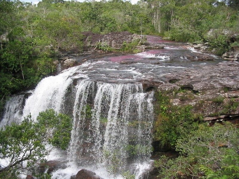 Waterfall in a lush forest
