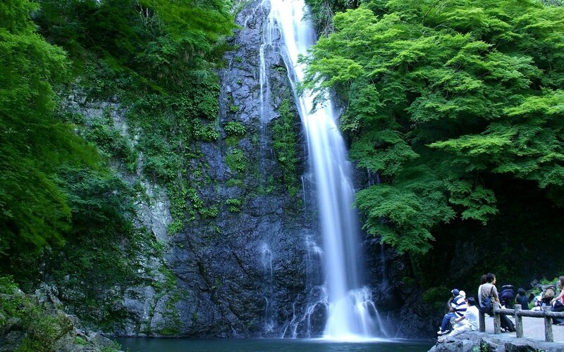 Waterfall in a lush forest