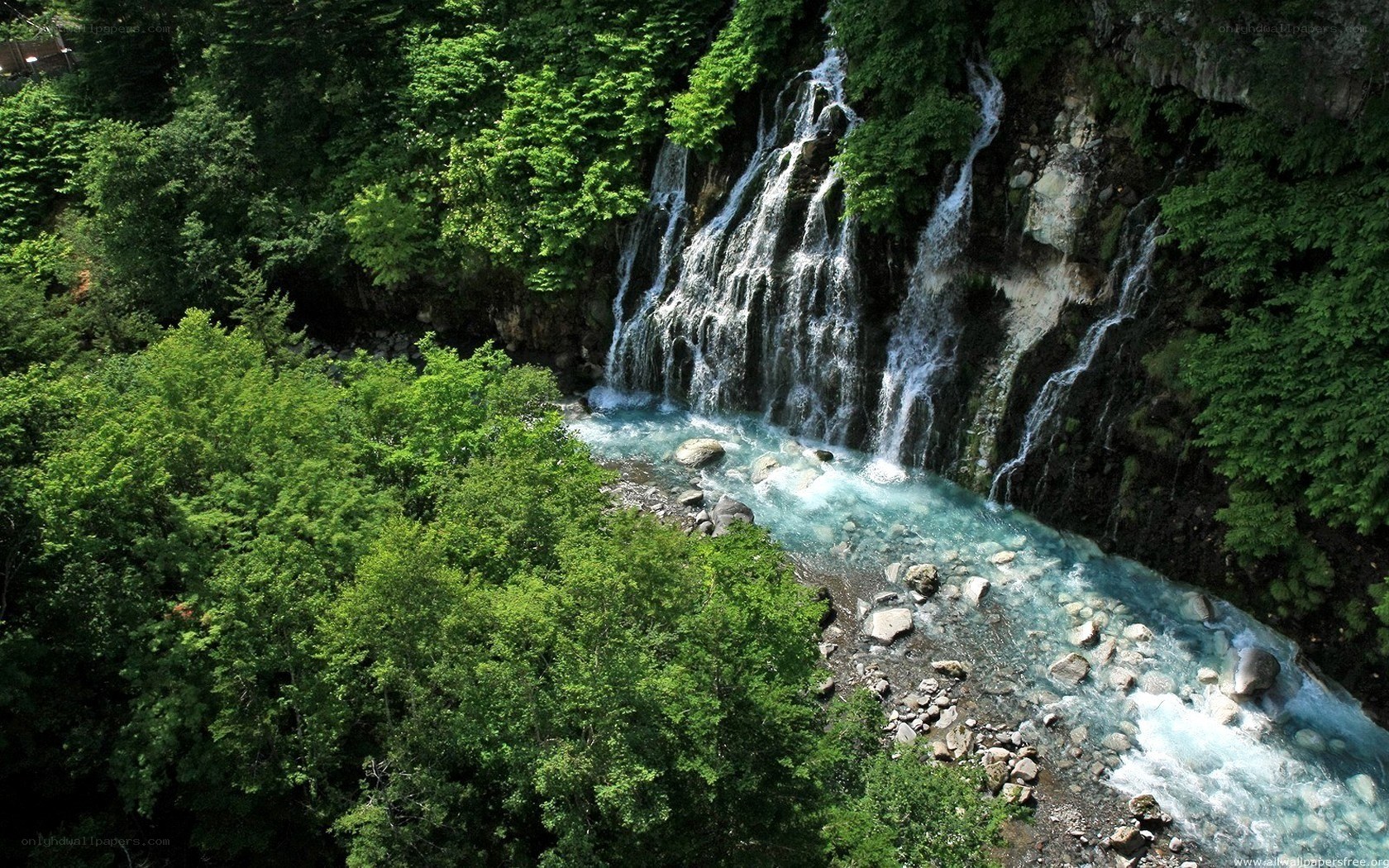 Waterfall in a lush forest