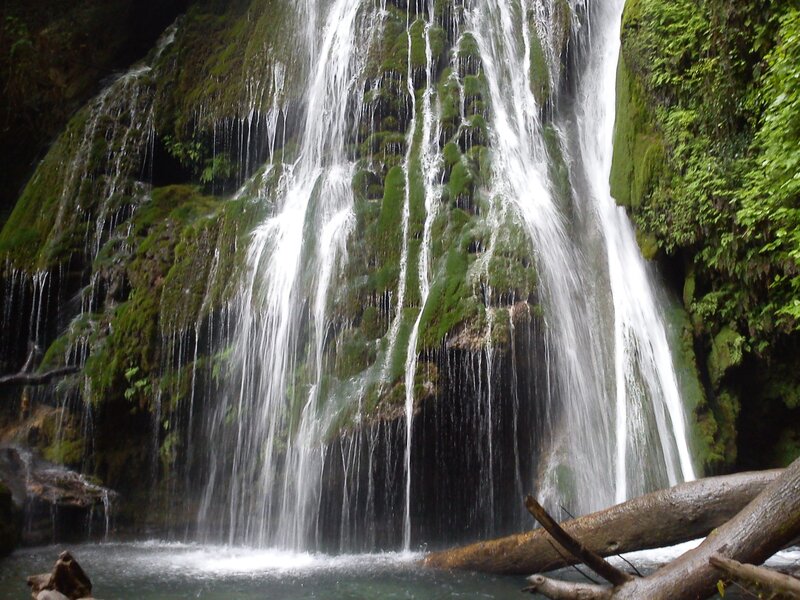 Waterfall in a lush forest