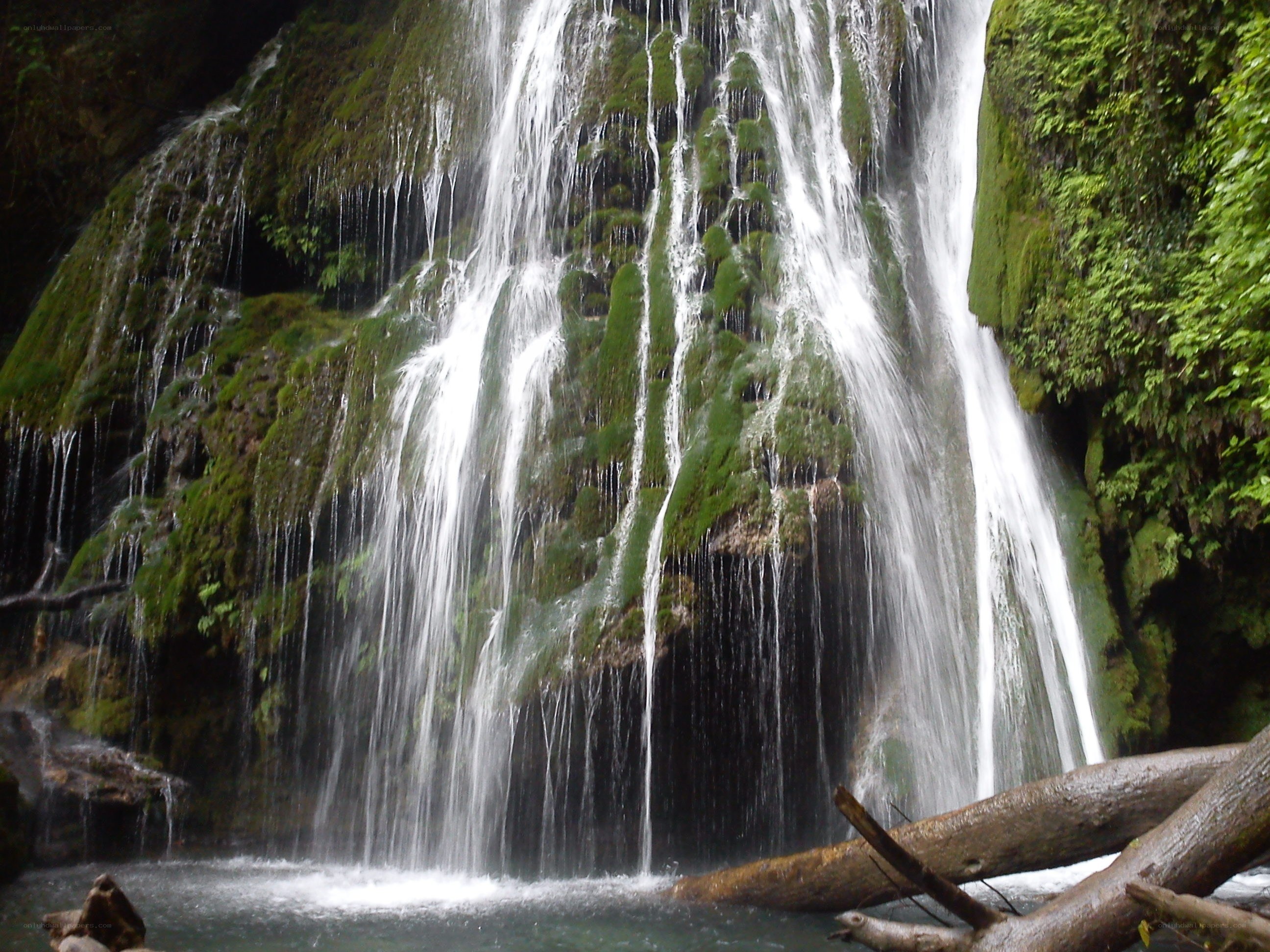 Waterfall in a lush forest