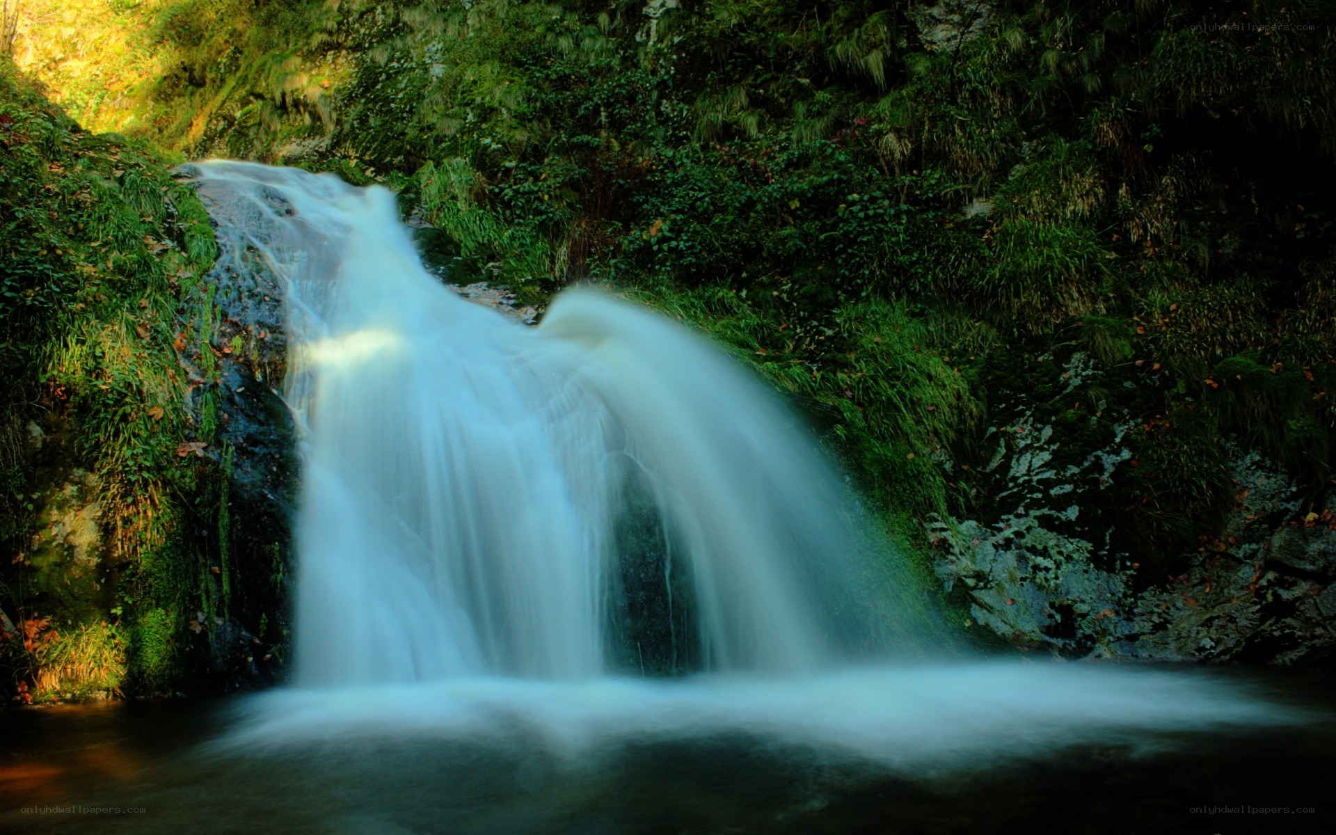Waterfall in a lush forest