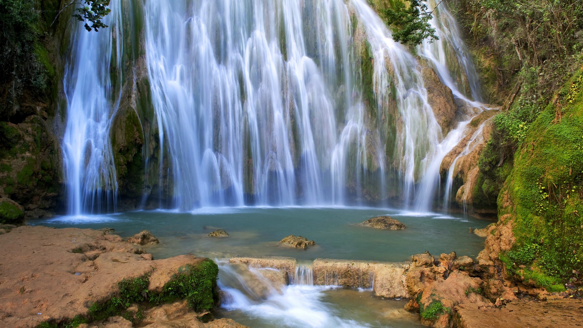 Waterfall in a lush forest