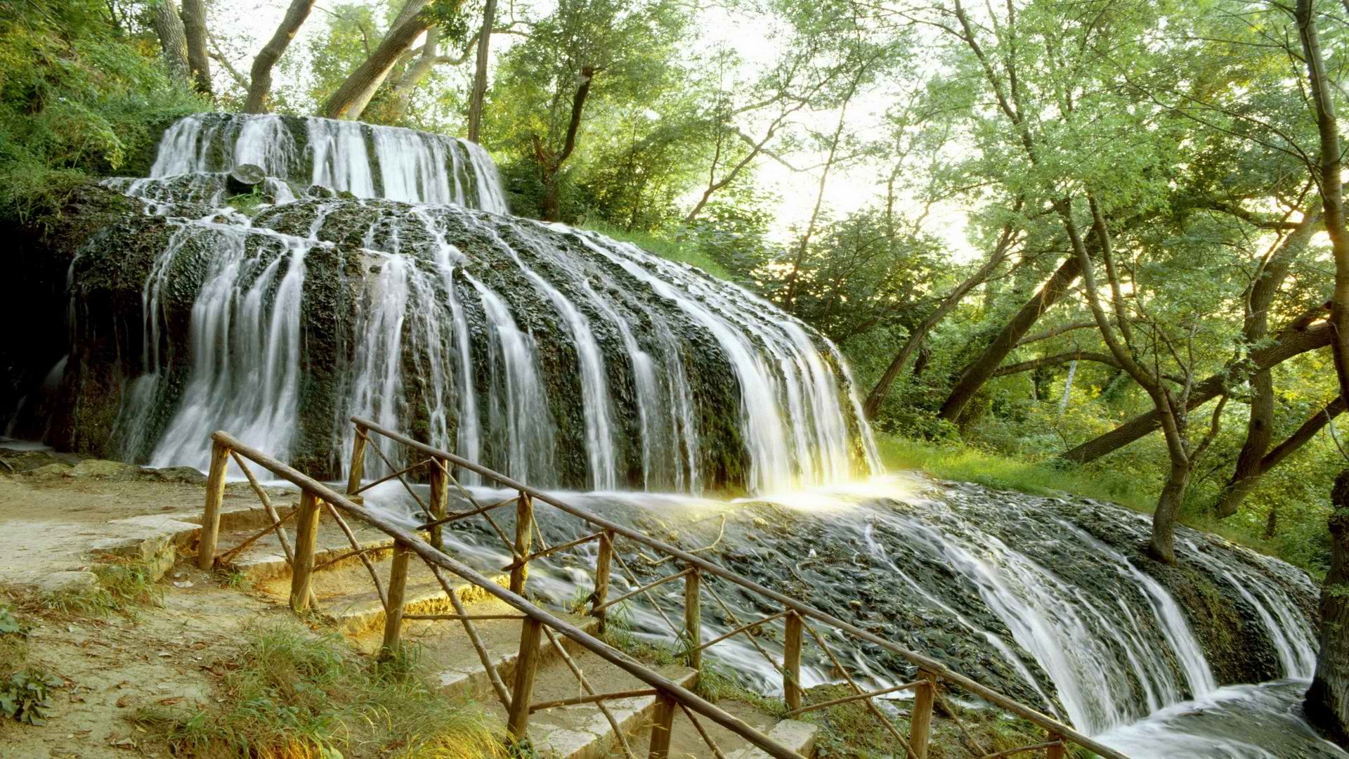 Waterfall in a lush forest