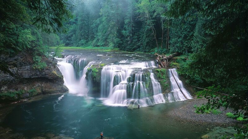 Waterfall in a lush forest