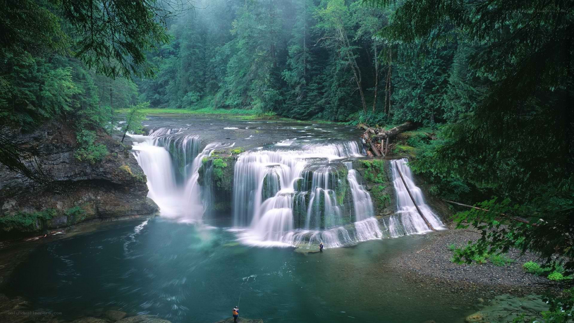 Waterfall in a lush forest