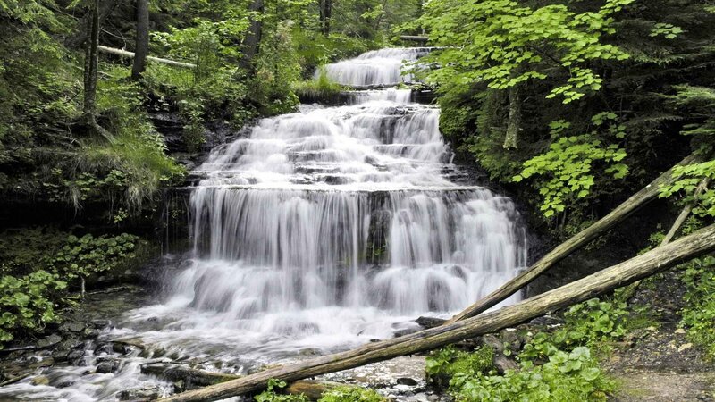 Waterfall in a lush forest