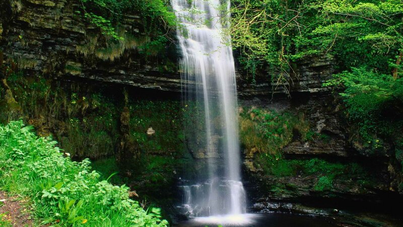 Waterfall in a lush forest