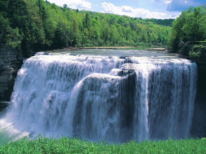 Waterfall in a lush forest