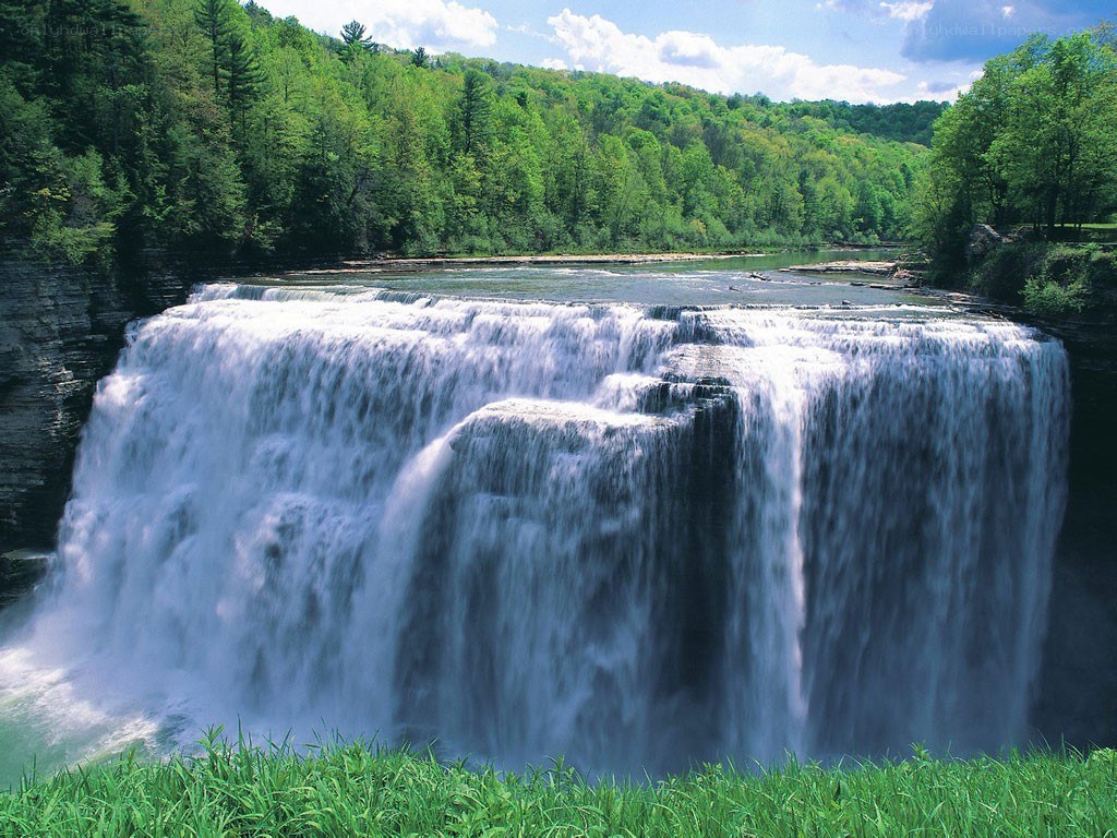 Waterfall in a lush forest